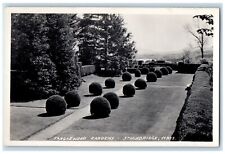 c1910's Tanglewood Gardens Topiary Plants Stockbridge MA RPPC Photo Postcard picture
