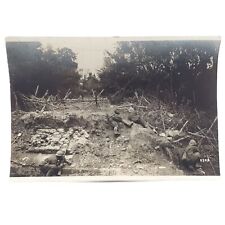 1918 Postcard Military Italian Italy Battaglia del Piave Battle War Soldiers picture