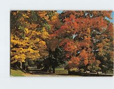 Postcard Nature's Arch Way of Color Vermont Fall Foliage USA North America picture