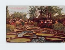 Postcard Tropical Lily Pond Como Park St. Paul Minnesota USA picture
