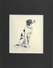 English Setter - CUSTOM MATTED - Vintage Dog Art Print - 1932 D. Thorne - CJM picture