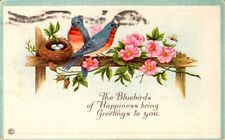 vintage postcard- GREETINGS The Bluebirds of Happiness- bluebirds and nest 1919 picture