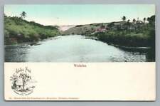 Waialua Hand Colored Aloha Nui Postcard~South Seas Curio UDB Postcard 1908 picture
