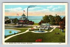 Petoskey MI-Michigan, Mineral Well Park, Antique, Vintage Souvenir Postcard picture