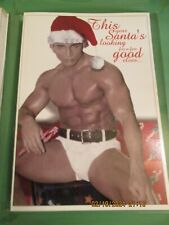 New 10 Percent Productions Gay Santa Christmas Cards (7) USA picture