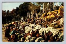 San Marino CA-California, Cactus & Desert Plant Garden, Vintage c1967 Postcard picture