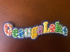 Vintage Geauga Lake Amusement Park Ohio Rainbow Letter Collectible Rubber Magnet picture