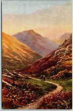 Picturesque Devon, Tuck Oilette - Postcard picture