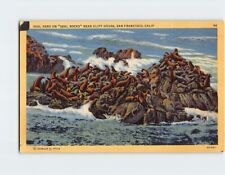Postcard Seal Herd on Seal Rocks near Cliff House San Francisco California USA picture