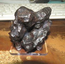 LARGE 702 GM  CAMPO DEL CIELO METEORITE  AAA  MUSEUM COLLECTORS GRADE 1.5 LBS. picture