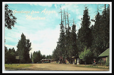 Apgar Montana Greetings Postcard Apgar Village Glacier National Park       pc201 picture