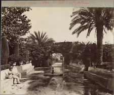 Spain, Seville, Jardines del Palacio de San Telmo vintage albumen print Tirag picture