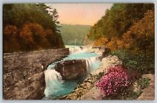 New York NY - Beauty of Lower Falls, Letchworth State Park - Vintage Postcards picture