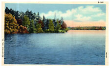 La Porte Indiana Pine Lake IN Season Landscape 1947 Vintage Linen Postcard picture