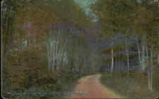 Postcard: Woodlawn Drive, Glessner's Estate, Bethlehem, N.H picture