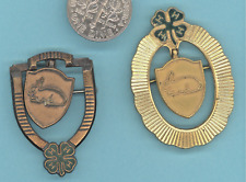 Vintage 4H Medal Award Acheivement Pins Lot of 2 Rabbits 1960's or 70's picture