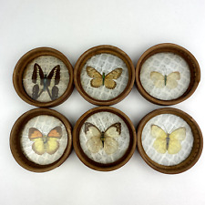 Boho Butterfly Coasters 6 Real Butterflies Vintage Wood Rattan Pressed READ picture