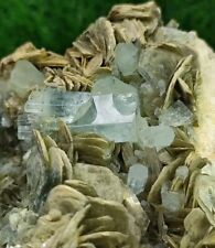 Aquamarine Crystals Grown On Muscovite Mica With A Good Luster & Beautiful Growt picture