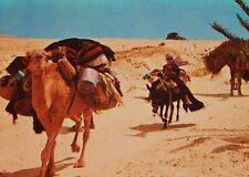 Vintage Postcard, TUNIS, TUNISIA, 1975, Camels & Nomads Of Sothern Tunisia picture