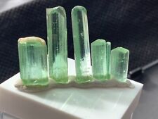 A+ Rare Bright Facet Jabba MINt Green Tourmaline Crystals w Case LOT picture