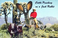 Exaggerated Rabbit Cattle Punching on Jack Rabbit 4x6 Postcard picture