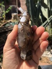 Smoky Quartz Scepter Crystal - Rare Brandberg Minerals picture