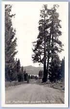 Postcard RPPC CA Big Bear Valley California Pine Knot Road R43 picture