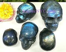 Wholesale Lot 6 PCs Natural Labradorite Crystal Skull Healing Energy picture