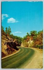 Gorge Road Hot Springs Bypass North Indian Mountains Street View Forest Postcard picture