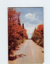 Postcard Fall Festival of Color Highway Minnesota USA North America picture