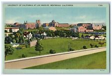 c1930's University of California at Los Angeles Westwood California CA Postcard picture