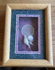 Cliff House Studios Neptune Collection Shell Wall Art Frame 8 1/4” x 6 1/2” G137 picture