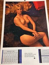 Playboy Playmate Wall Calendar 1969 picture