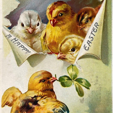Postcard EASTER A Happy Easter Chicks Hatching from an Egg Embossed Tucks 1909 picture
