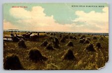 Postcard Minnesota Hardwick Grain Harvest Horse Drawn Tractor 1912  E282 picture
