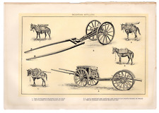 1903 Antique Pictures Mountain Artillery Ammunition  Dodd Mead 10