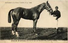 PC CPA FLOWER OF THORN bay HORSES SPORT (a13593) picture