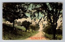 Fort Plain NY-New York, Scene Along State Road, Antique, Vintage c1919 Postcard picture