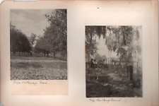 Mounted Snapshot Photos (4) Florida Vacationers Camp Hunting Fishing Shacks 1898 picture