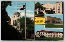 Postcard Texas A & I College - Kingsville Texas Multiview 1946 picture