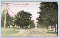 Richland Michigan MI Postcard Main Street Residence Section 1913 Antique Trees picture
