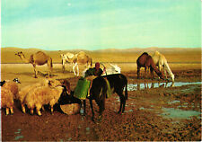 Judean Desert Near the Well in the Desert Postcard Unposted Star Cards picture