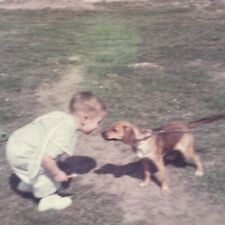 L3 Photograph Boy Faces Off Nose To Nose Dog Puppy picture