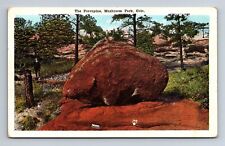 The Porcupine Rock Mushroom Park Colorado Postcard picture