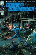 Cobra Commander #2 (Of 5) Cover C 1 in 10 Burnham Variant picture
