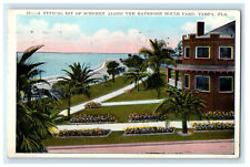 1927 Scenery Along Bayshore Boulevard Tampa Florida FL Vintage Postcard picture