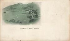 Private Mailing Card Avalon Catalina Island Postcard picture