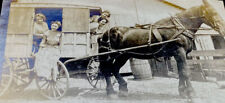Early 1900s Women In A Carriage Big Strong Beautiful Horse ANTIQUE Photograph picture