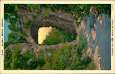 Postcard: N-565 NATURAL BRIDGE, VIRGINIA (HEIGHT 215 FEET, WIDTH 100 F picture