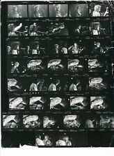 Bachman Turner Overdrive Negatives & Contact Sheet picture